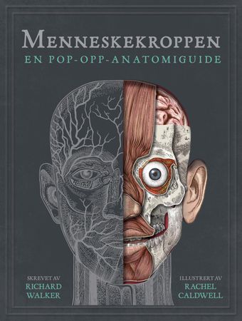 Menneskekroppen 9788205518148 Richard Walker Brukte bøker