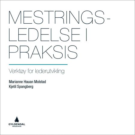 Mestringsledelse i praksis 9788205507135 Marianne Hauan Molstad Kjetil Spangberg Brukte bøker