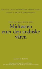 Midtøsten etter den arabiske våren 9788282200660  Brukte bøker