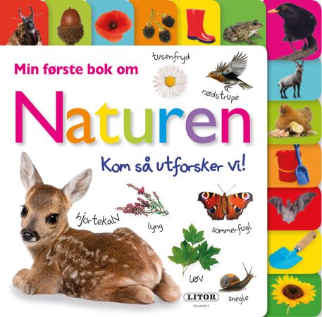 Min første bok om naturen 9788242961556 Violet Peto Brukte bøker
