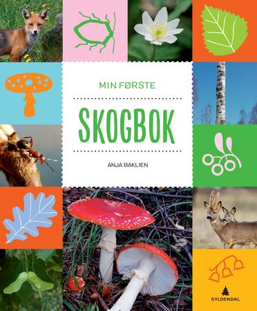 Min første skogbok 9788205509818 Anja Baklien Brukte bøker