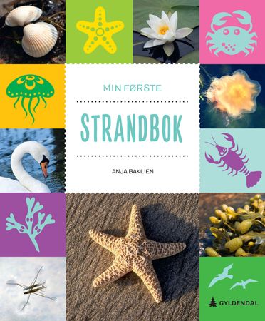 Min første strandbok 9788205533417 Anja Baklien Brukte bøker