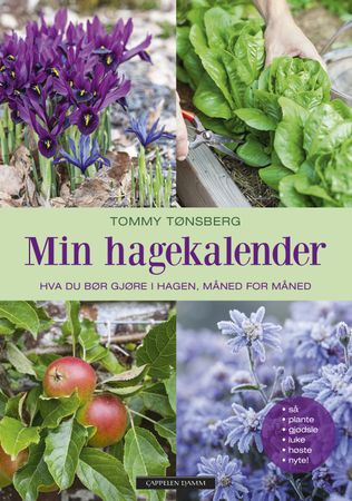 Min hagekalender 9788202534653 Tommy Tønsberg Brukte bøker