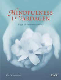 Mindfulness i vardagen : vägar till medveten närvaro 9789185675050 Ola Schenstr Brukte bøker