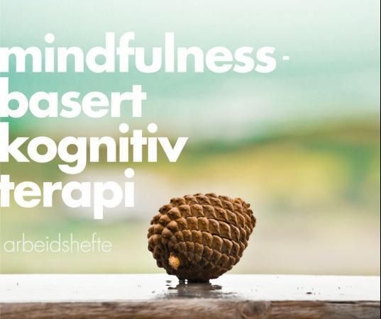 Mindfulnessbasert kognitiv terapi 9788282200516 Rebekka Egeland Signe-Lene Kvarstein Brukte bøker