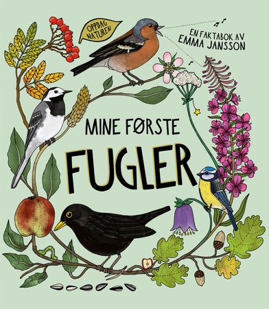 Mine første fugler 9788293742142 Emma Jansson Brukte bøker