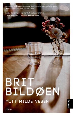 Mitt milde vesen 9788234000393 Brit Bildøen Brukte bøker