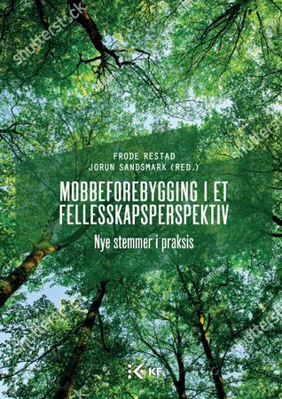 Mobbeforebygging i et fellesskapsperspektiv 9788244623377  Brukte bøker