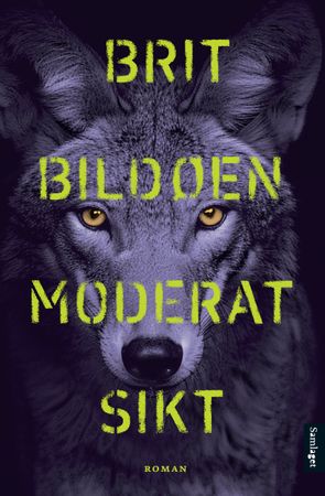 Moderat sikt 9788234015649 Brit Bildøen Brukte bøker