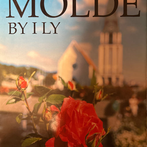 Molde 9788290823127 Torbjørn Dreyer Farstad Dag Lausund Brukte bøker