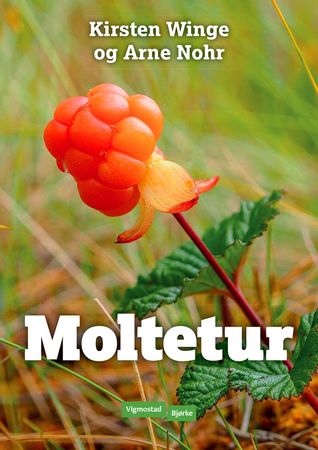 Moltetur 9788241950605 Kirsten Winge Brukte bøker