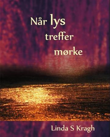 Når lys treffer mørke 9788292872031 Linda S. Kragh Brukte bøker