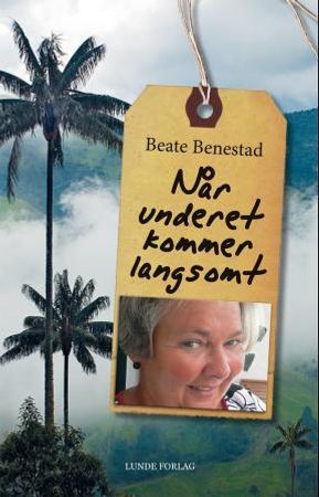 Når underet kommer langsomt 9788252002638 Beate Benestad Brukte bøker