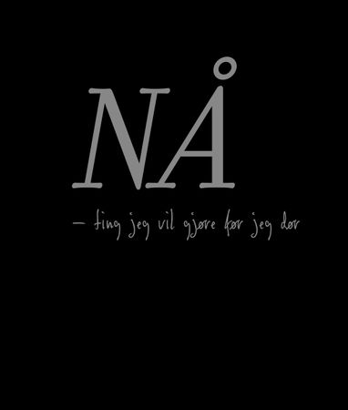 Nå. Ting jeg vil gjøre før jeg dør 9788293627395  Brukte bøker