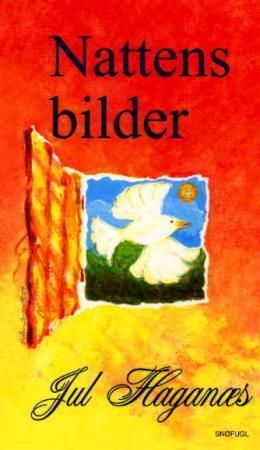 Nattens bilder 9788270832927 Jul Haganæs Brukte bøker