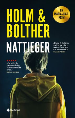 Nattjeger 9788205597181 Stine Bolther Line Holm Brukte bøker