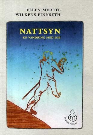 Nattsyn 9788253145679 Ellen Merete Wilkens Finnseth Brukte bøker