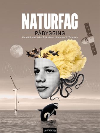 Naturfag påbygging vg3 9788203409509 Odd T. Hushovd Harald Brandt Cathrine W. Tellefsen Brukte bøker