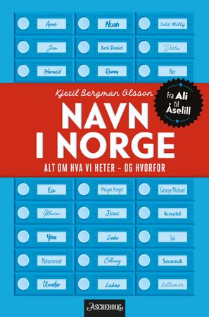 Navn i Norge 9788203393761 Kjetil Bergman Olsson Brukte bøker
