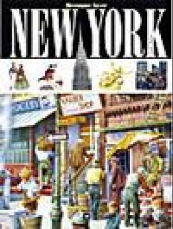 New York 9788249603831 Paige Weber Brukte bøker