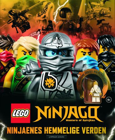 Ninjaenes hemmelige verden 9788202506223 Beth Landis Hester Brukte bøker