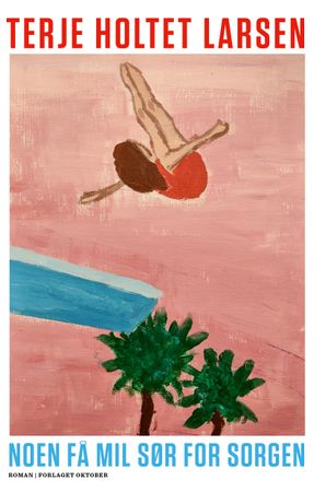 Noen få mil sør for sorgen 9788249528844 Terje Holtet Larsen Brukte bøker