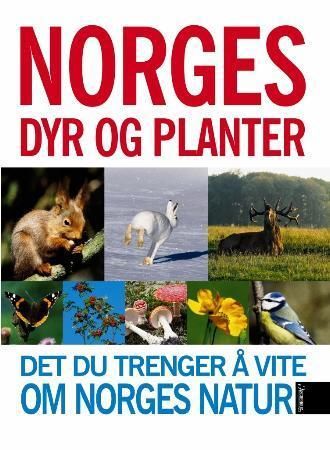 Norges dyr og planter 9788203232770 Tore Fonstad Even W. Hanssen Ole Hans Jølle Jan Wesenberg Brukte bøker
