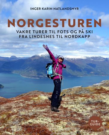 Norgesturen 9788293351832 Inger Karin Natlandsmyr Brukte bøker