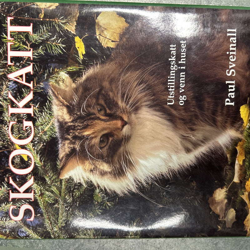 Norsk skogkatt 9788251616355 Paul Sveinall Brukte bøker