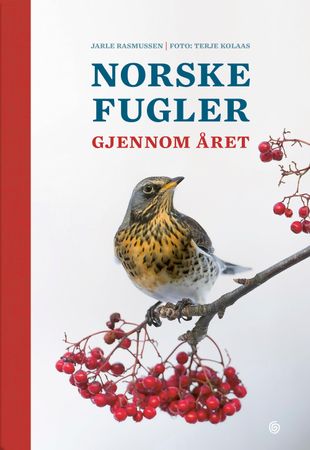 Norske fugler gjennom året 9788248926306 Jarle Rasmussen Brukte bøker