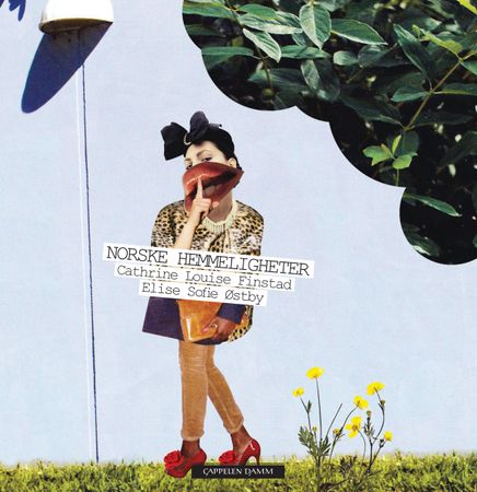 Norske hemmeligheter 9788202363147  Brukte bøker