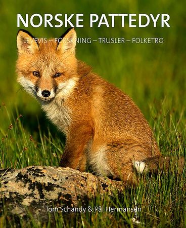 Norske pattedyr 9788292916261 Tom Schandy Pål Hermansen Brukte bøker