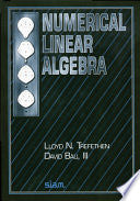 Numerical Linear Algebra 9780898713619 Lloyd N. Trefethen David Bau III Brukte bøker