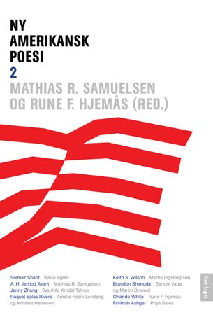 Ny amerikansk poesi 2 9788234012013  Brukte bøker