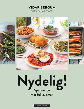 Nydelig! 9788202714970 Vidar Bergum Brukte bøker
