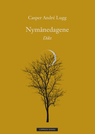 Nymånedagene 9788202525866 Casper André Lugg Brukte bøker