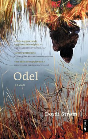 Odel 9788234008160 Dordi Strøm Brukte bøker