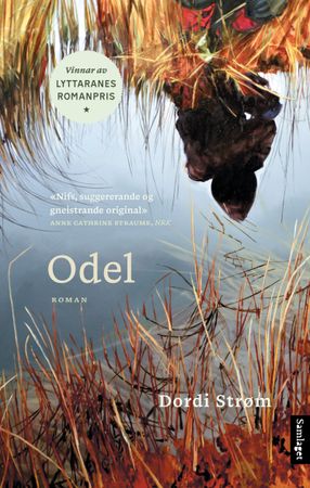 Odel 9788234013577 Dordi Strøm Brukte bøker