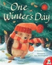 One Winter\'s Day 9781845063887 M. Christina Butler Tina MacNaughton Brukte bøker