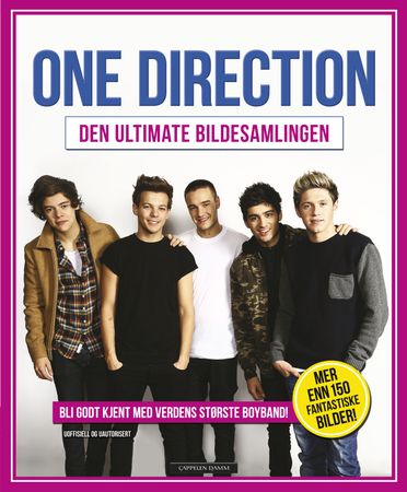 One Direction 9788202424633 Sarah-Louise James Brukte bøker