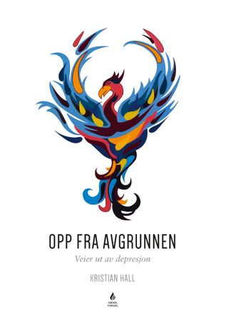 Opp fra avgrunnen 9788299988728 Kristian Hall Brukte bøker