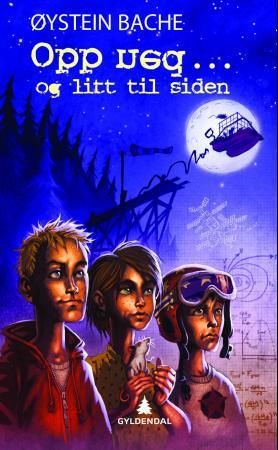 Opp ned - og litt til siden 9788205397347 Øystein Bache Brukte bøker