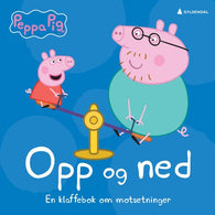 Opp og ned 9788205518964  Brukte bøker