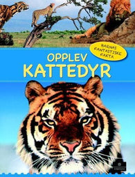 Opplev kattedyr 9788202400439 Sarah Walker Brukte bøker