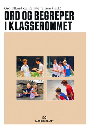 Ord og begreper i klasserommet 9788245025125  Brukte bøker