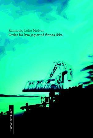 Ordet for hva jeg er nå finnes ikke 9788202383503 Rannveig Leite Molven Brukte bøker
