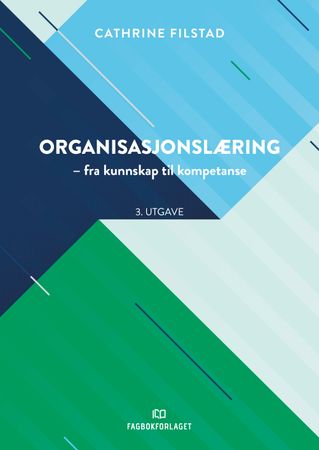 Organisasjonslæring 9788245038958 Cathrine Filstad Brukte bøker