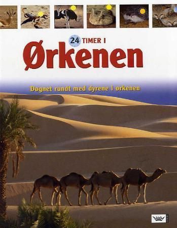 Ørkenen 9788204116826  Brukte bøker