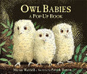 Owl Babies 9781406352344 Martin Waddell Brukte bøker