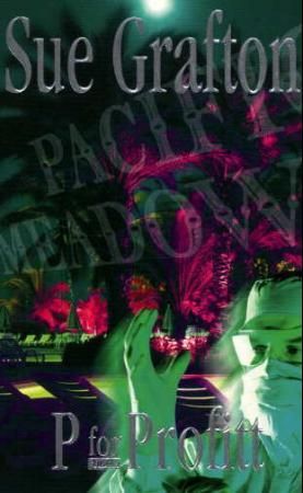 P for profitt 9788210048562 Sue Grafton Heidi Grinde Brukte bøker